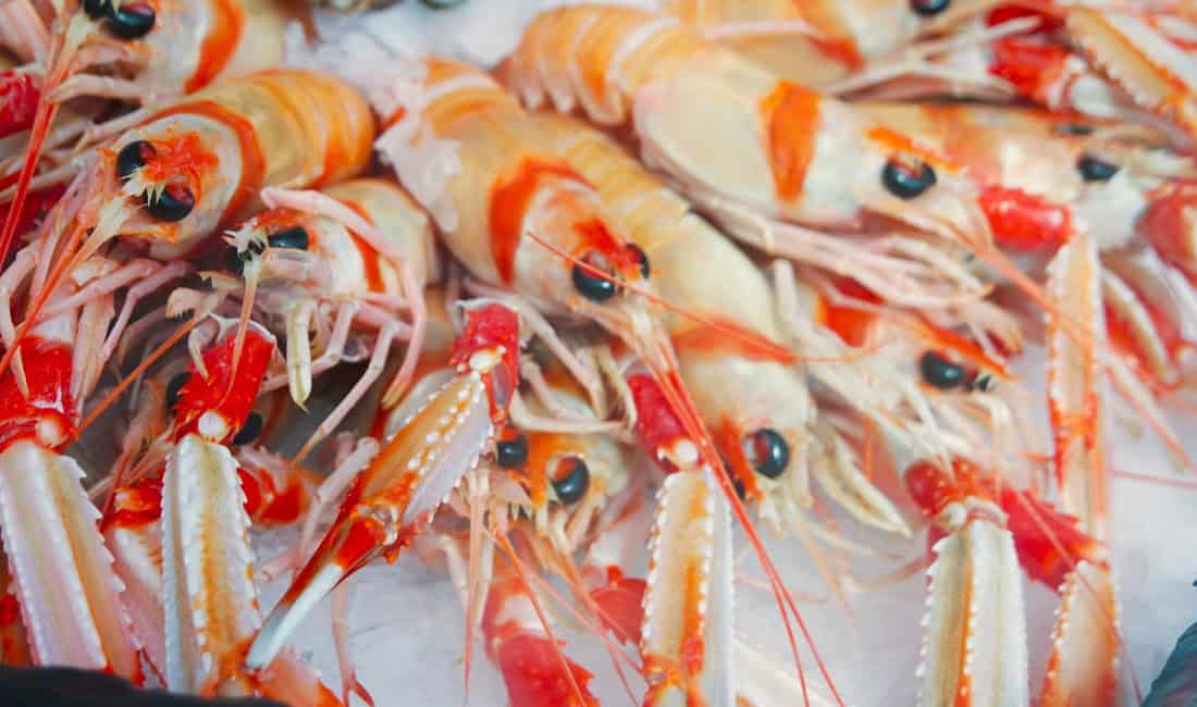 IQF Shrimp Processing