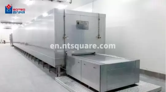 IQF freezer installed in Peru for fish processing