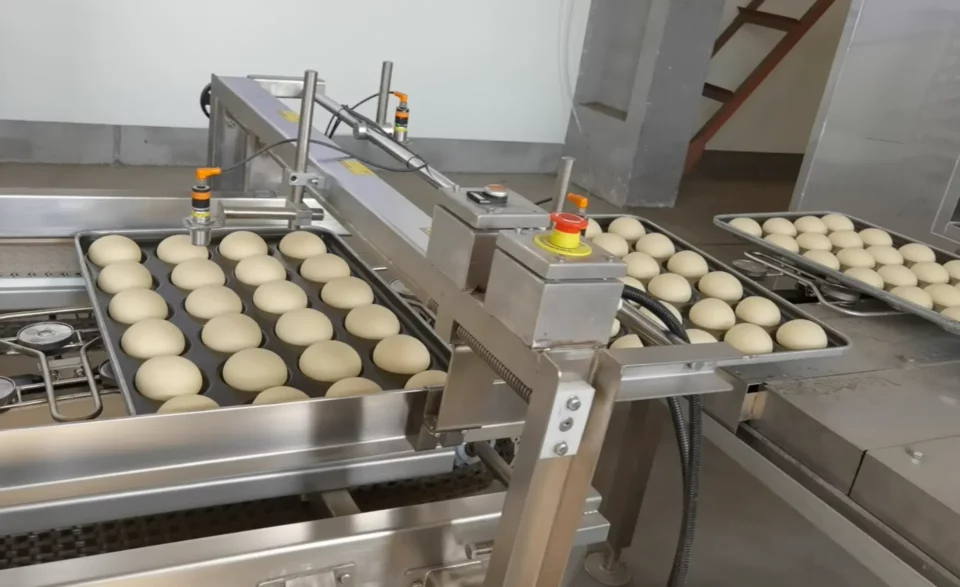 Continuous Oven Application (4)