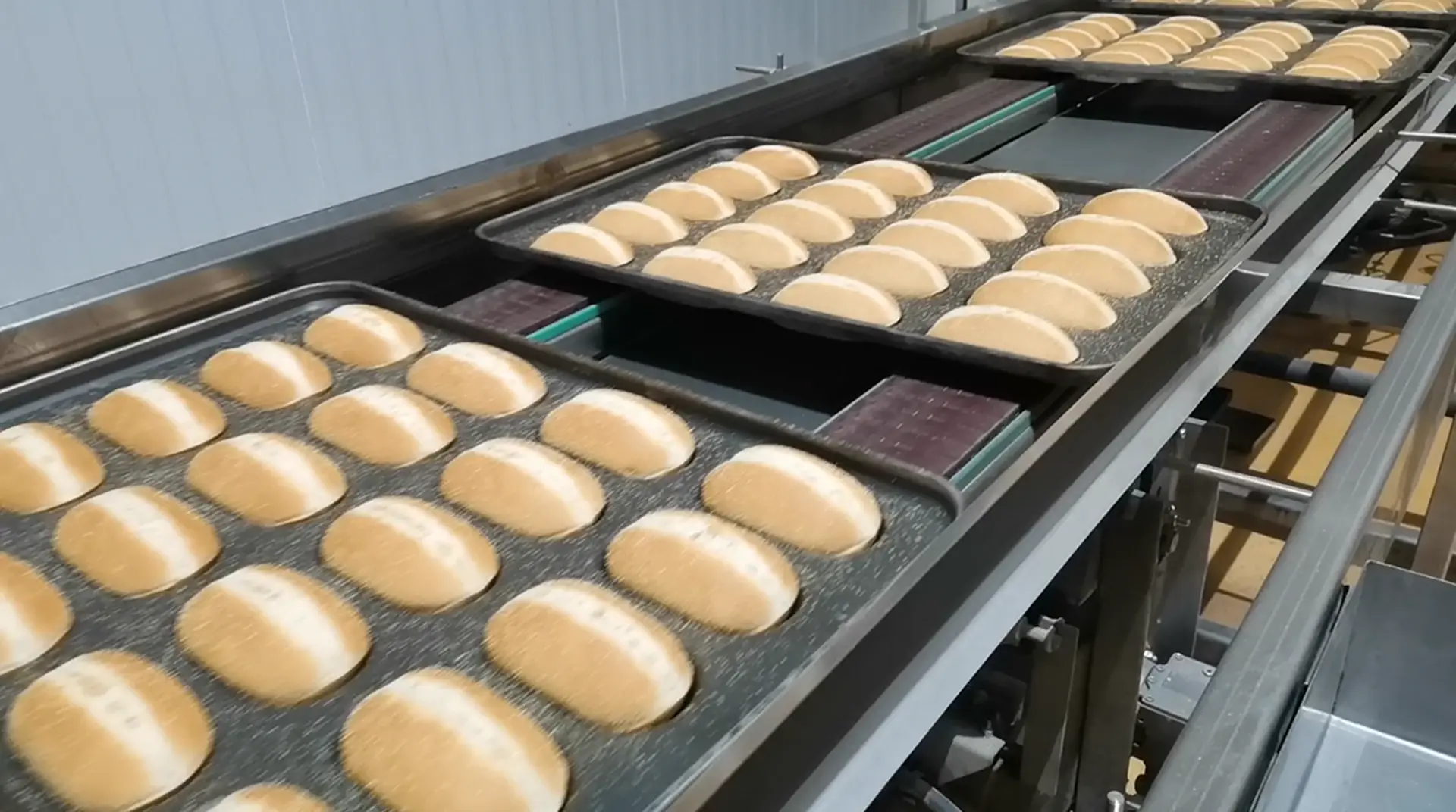 Continuous Oven Case (2)