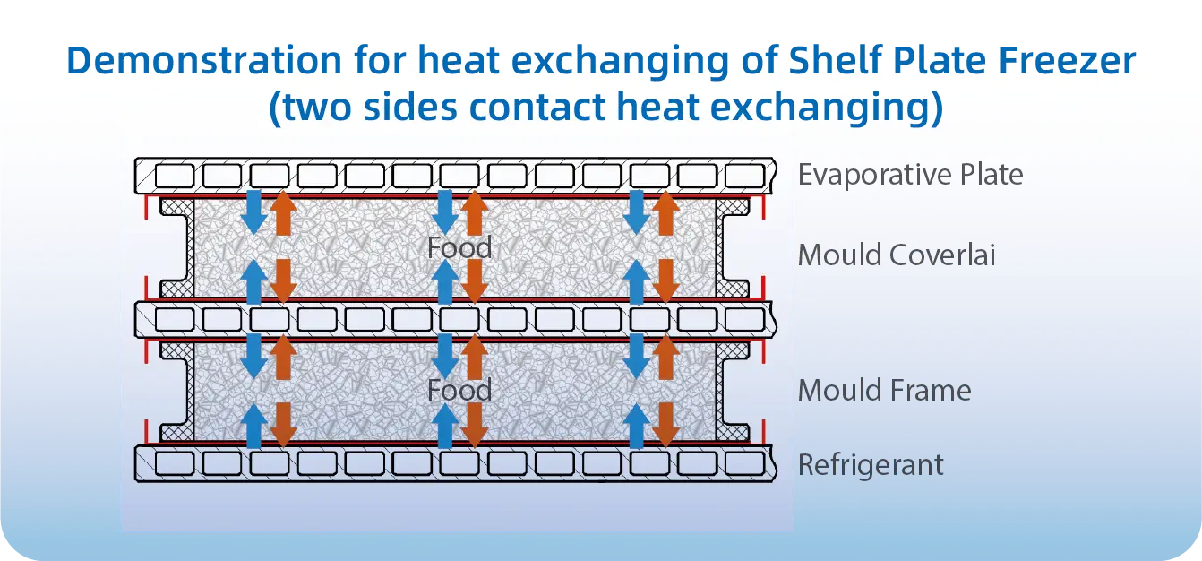 Plate Freezer (7)