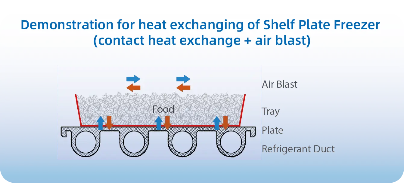 Plate Freezer