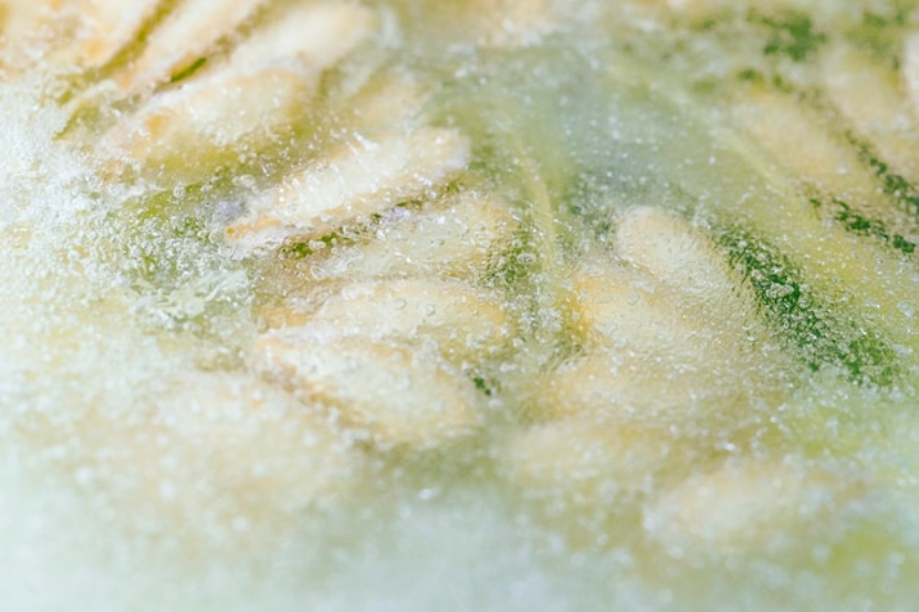 Alimentos tradicionalmente congelados