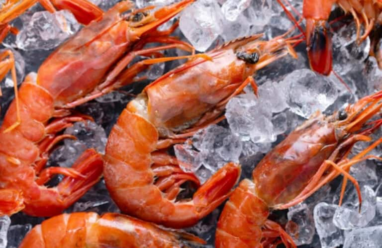 Congelação de produtos do mar