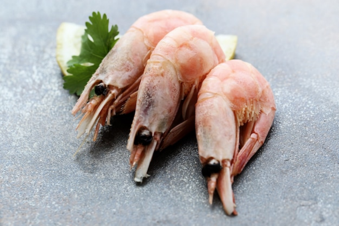 Marisco congelado