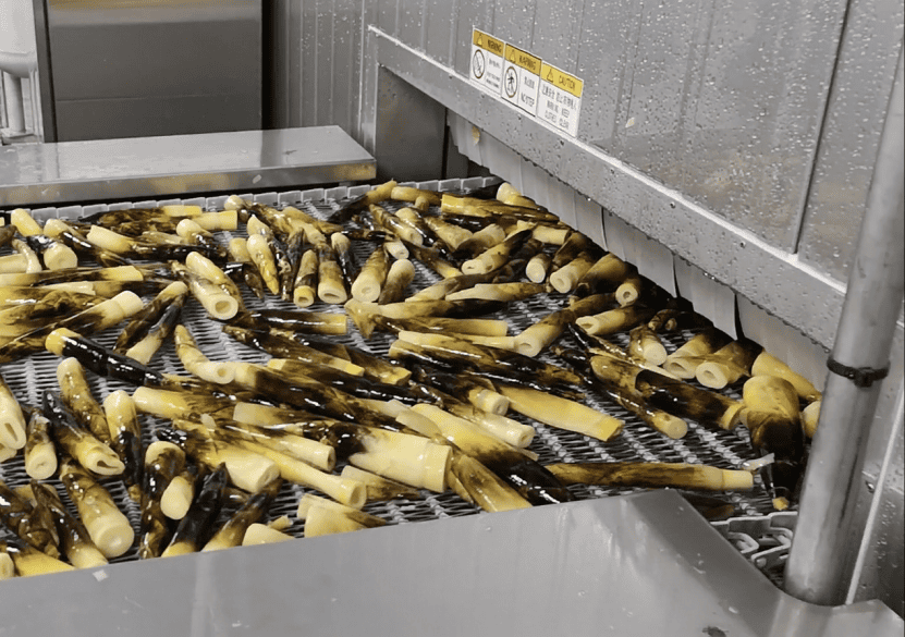 Alimentos processados por um refrigerador em espiral