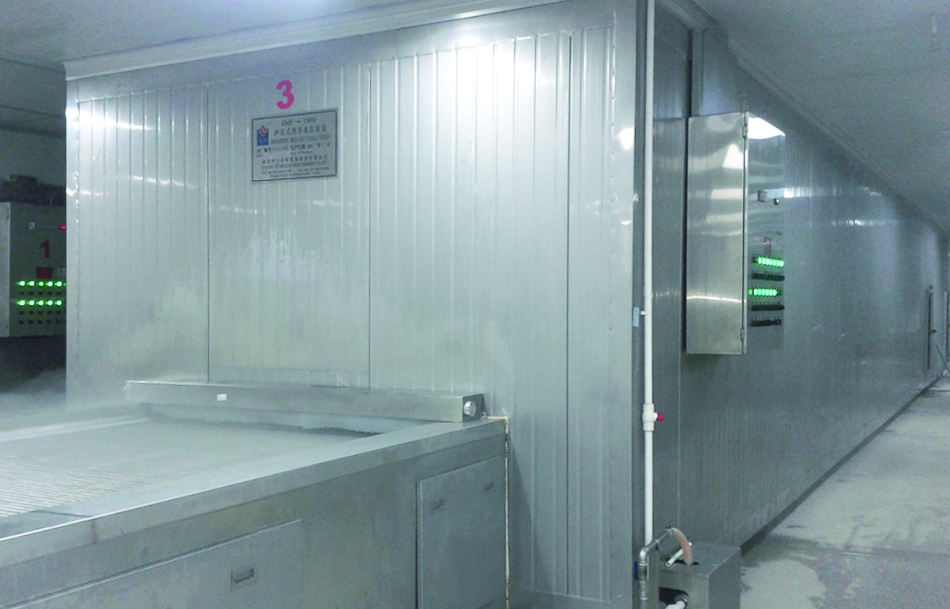 Square impingement tunnel freezer installation with stainless steel enclosure and controls